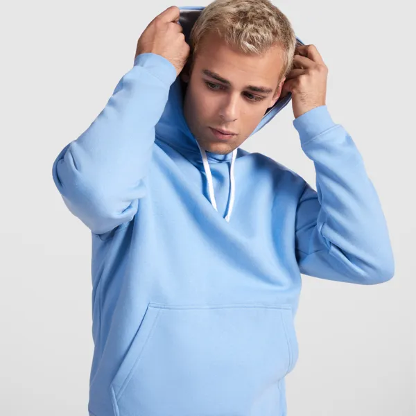 Produit Sweat à Capuche Classique Homme