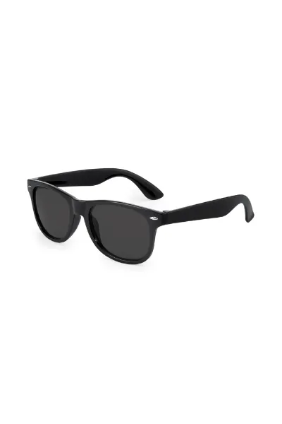 Lunettes de Soleil Ray